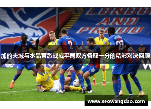 加的夫城与水晶宫激战成平局双方各取一分的精彩对决回顾
