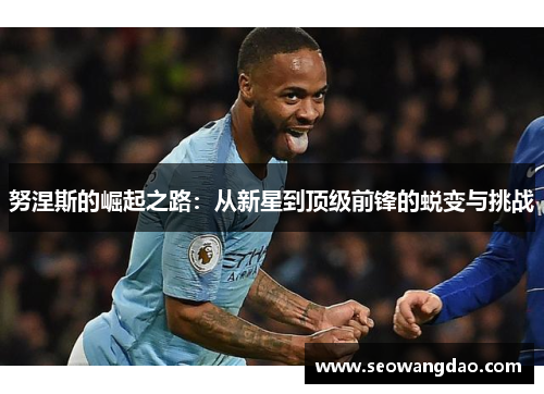 努涅斯的崛起之路：从新星到顶级前锋的蜕变与挑战