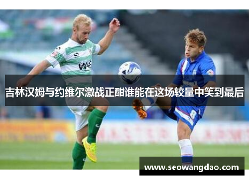 吉林汉姆与约维尔激战正酣谁能在这场较量中笑到最后