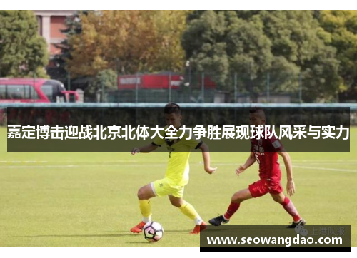 嘉定博击迎战北京北体大全力争胜展现球队风采与实力