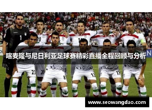 喀麦隆与尼日利亚足球赛精彩直播全程回顾与分析