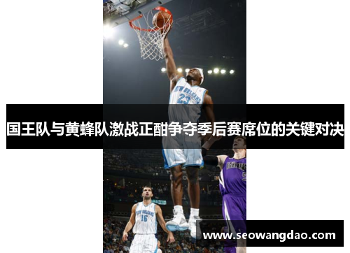 国王队与黄蜂队激战正酣争夺季后赛席位的关键对决