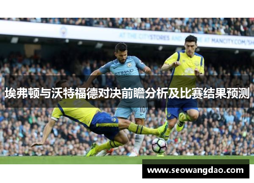 埃弗顿与沃特福德对决前瞻分析及比赛结果预测