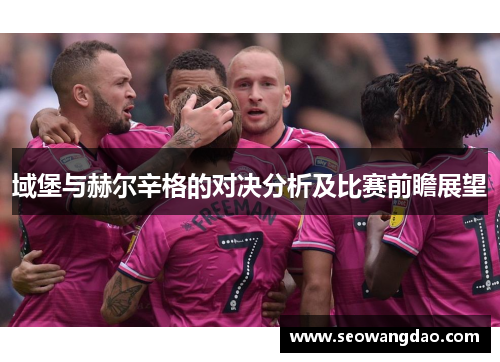 域堡与赫尔辛格的对决分析及比赛前瞻展望