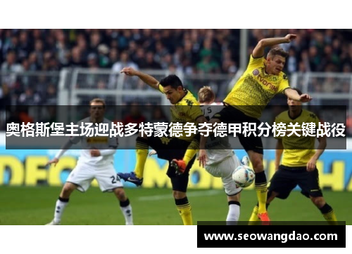 奥格斯堡主场迎战多特蒙德争夺德甲积分榜关键战役