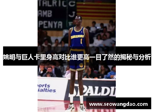 姚明与巨人卡里身高对比谁更高一目了然的揭秘与分析