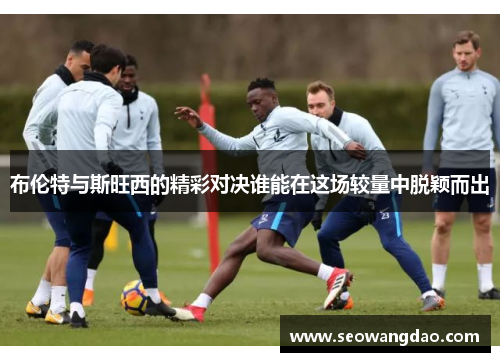 布伦特与斯旺西的精彩对决谁能在这场较量中脱颖而出