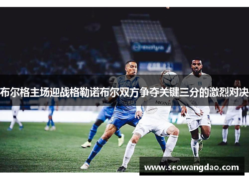 布尔格主场迎战格勒诺布尔双方争夺关键三分的激烈对决