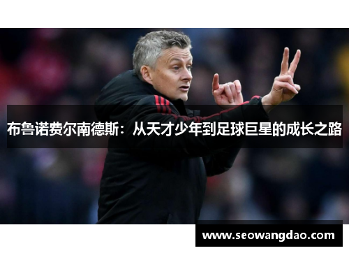 布鲁诺费尔南德斯：从天才少年到足球巨星的成长之路