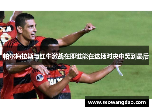 帕尔梅拉斯与红牛激战在即谁能在这场对决中笑到最后