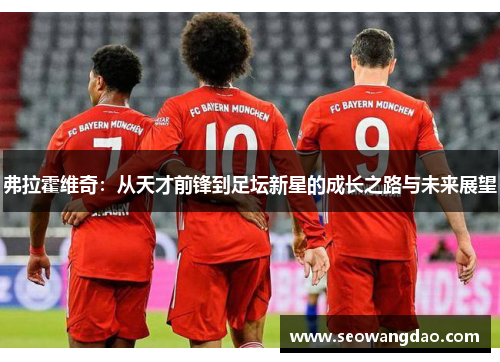 弗拉霍维奇：从天才前锋到足坛新星的成长之路与未来展望