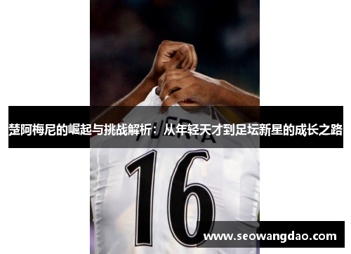 楚阿梅尼的崛起与挑战解析：从年轻天才到足坛新星的成长之路